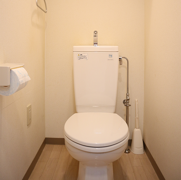 アソシエイト2号館の一室のトイレ
